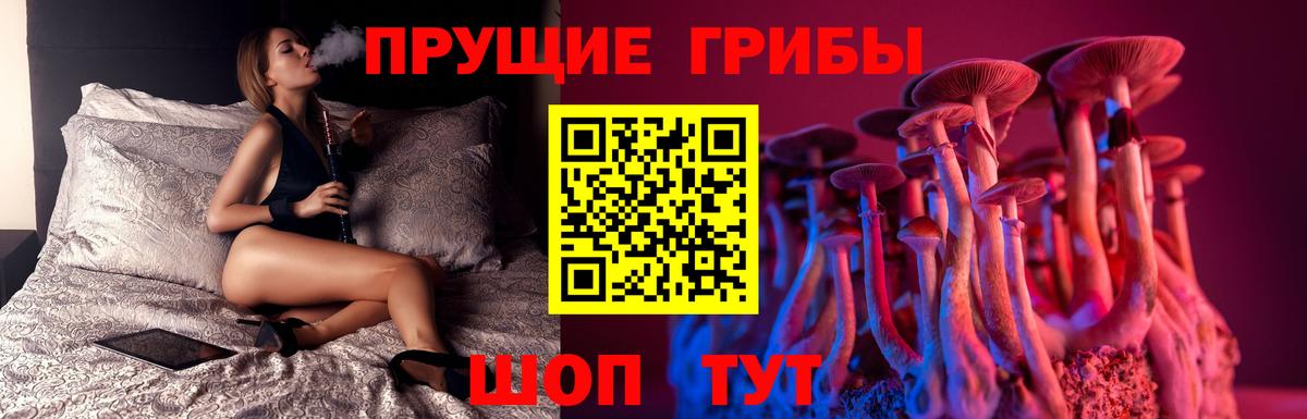 Галлюциногенные грибы Psilocybine cubensis Сызрань